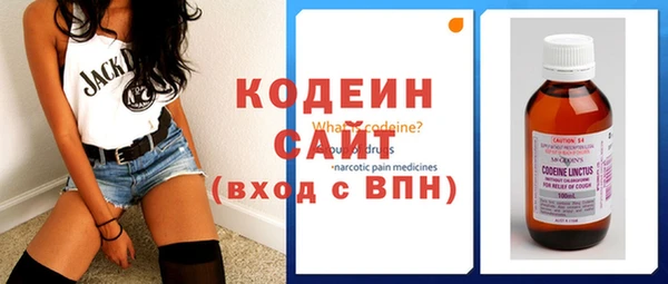 индика Иннополис