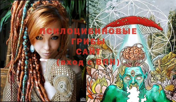 индика Иннополис