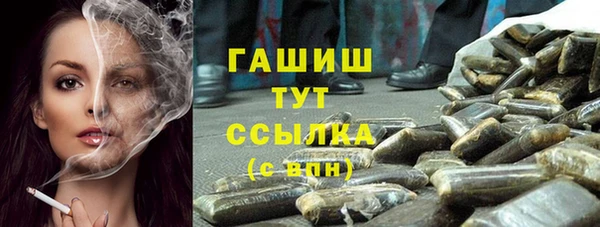 индика Иннополис
