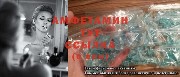 индика Иннополис