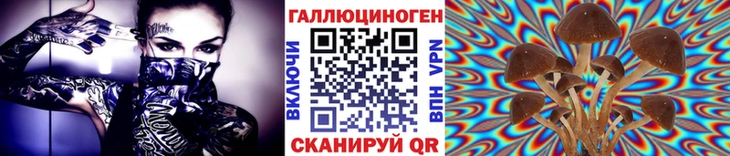 Галлюциногенные грибы Cubensis мега tor Макаров