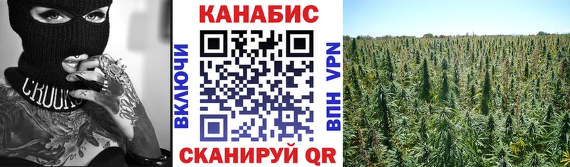 как найти закладки Макаров гидра как зайти Конопля марихуана